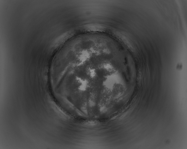 X0000091360402200708311509