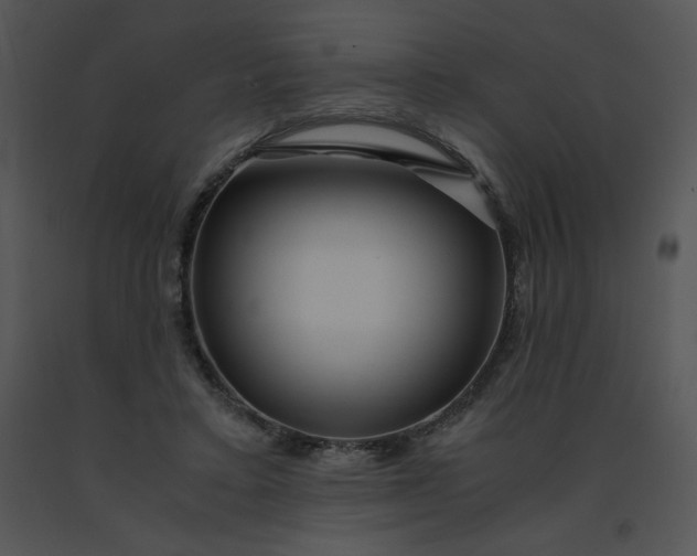 X0000091360403200708311509
