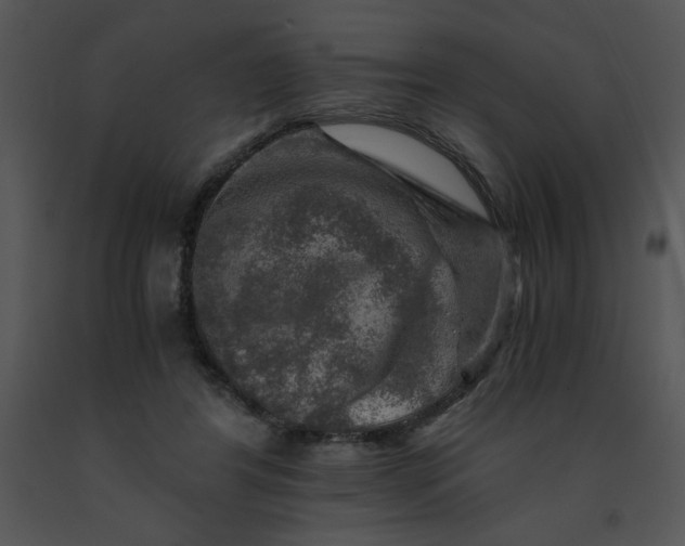 X0000091360404200708311509
