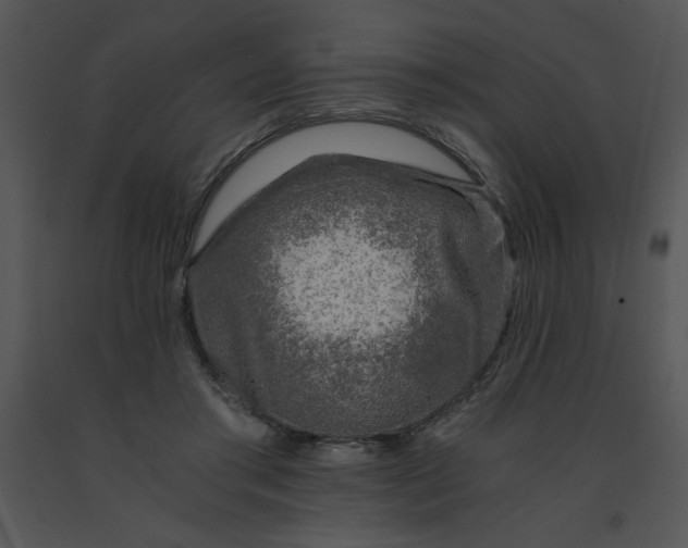 X0000091360405200708311509