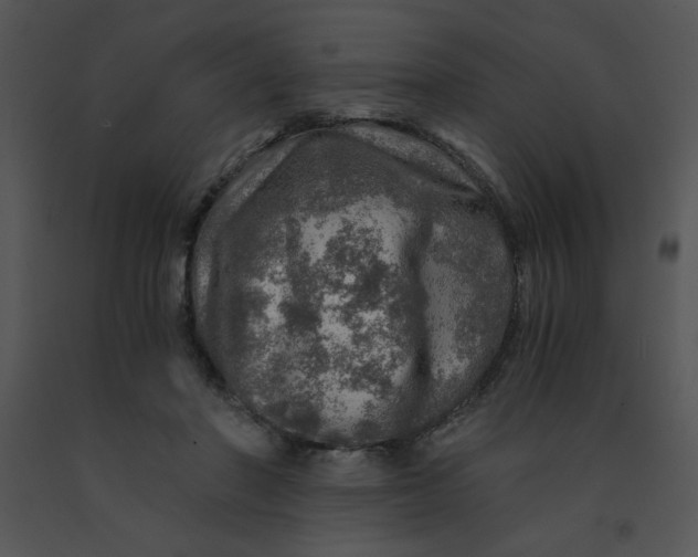 X0000091360406200708311509