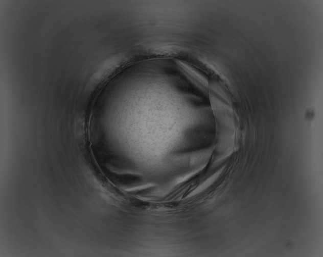 X0000091360407200708311509
