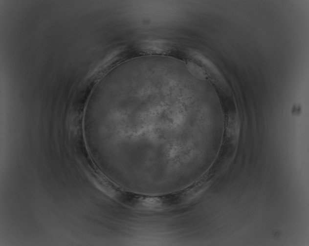 X0000091360409200708311509