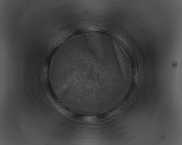 X0000091360410200708311509
