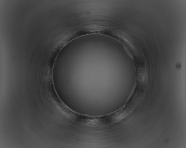 X0000091360411200708311509