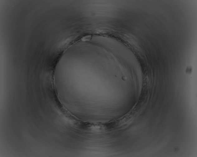 X0000091360415200708311509