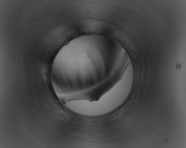 X0000091360416200708311509