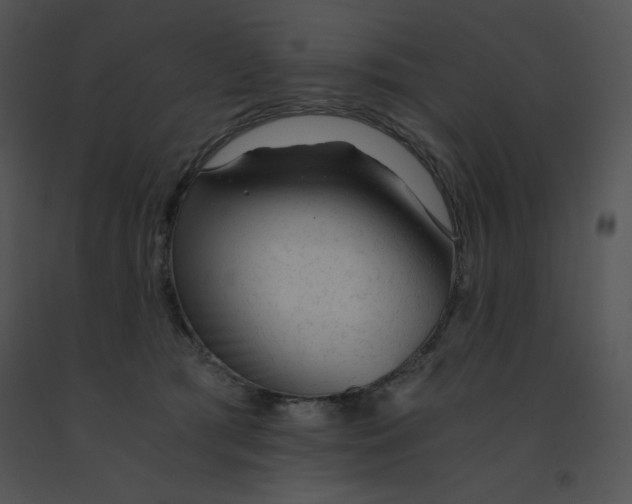 X0000091360417200708311509
