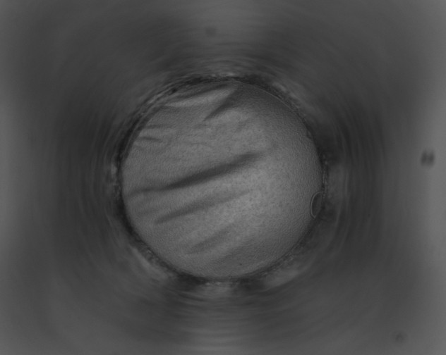 X0000091360418200708311508