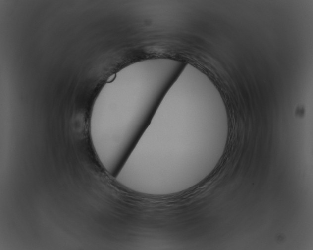 X0000091360420200708311508