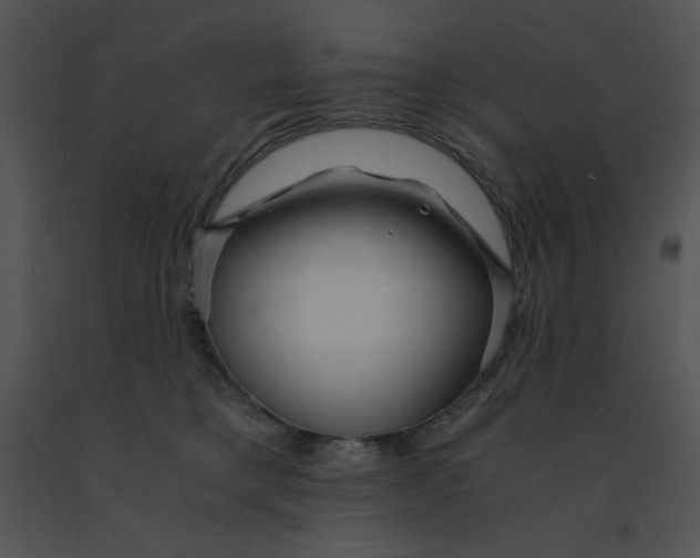 X0000091360421200708311508