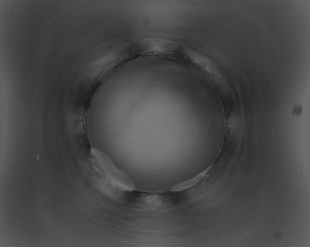 X0000091360423200708311508