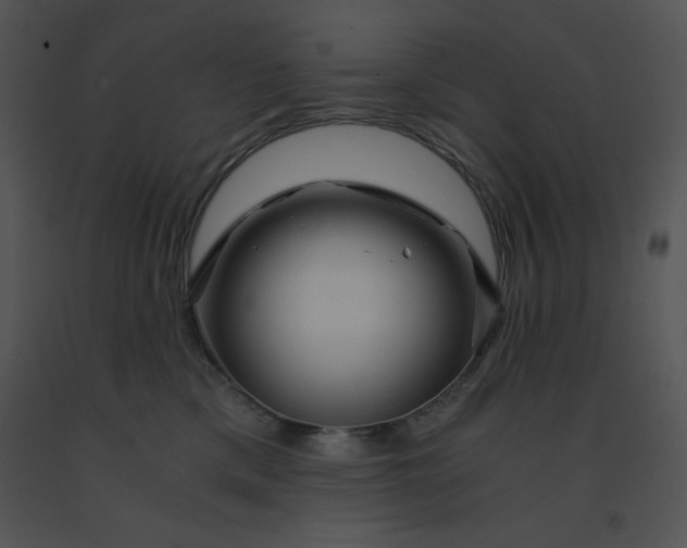 X0000091360425200708311508