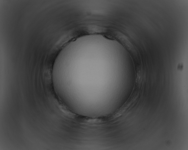 X0000091360426200708311508