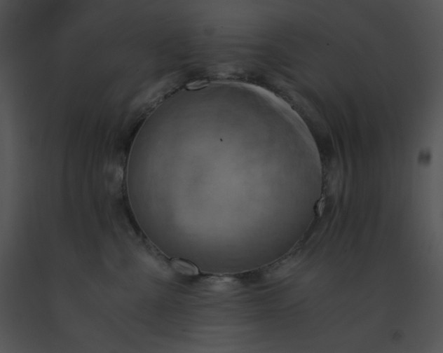 X0000091360427200708311508