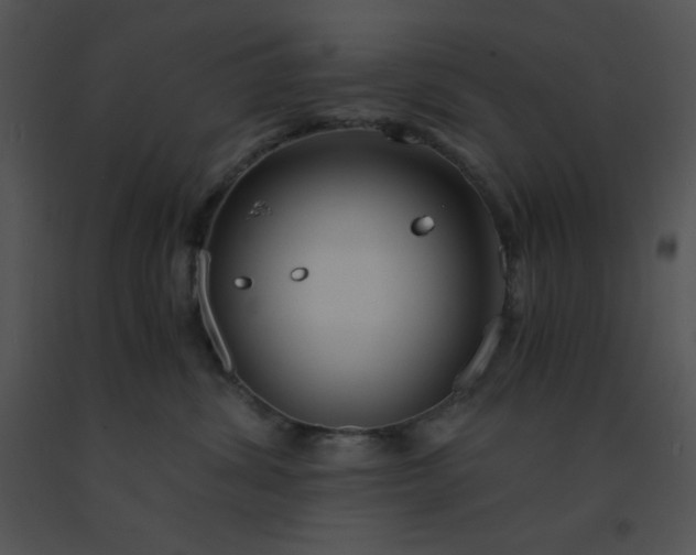 X0000091360428200708311508