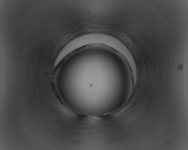 X0000091360429200708311508