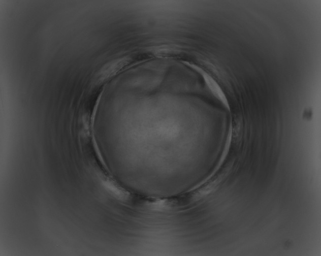 X0000091360430200708311508