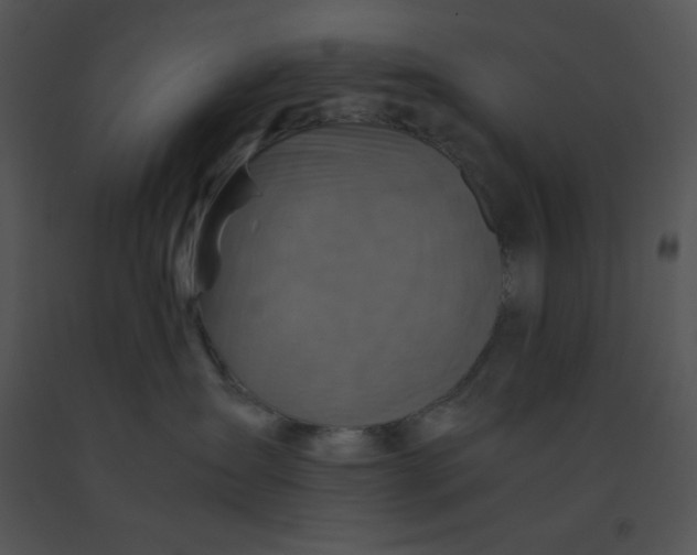 X0000091360431200708311508