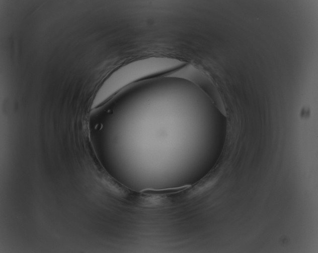 X0000091360432200708311508