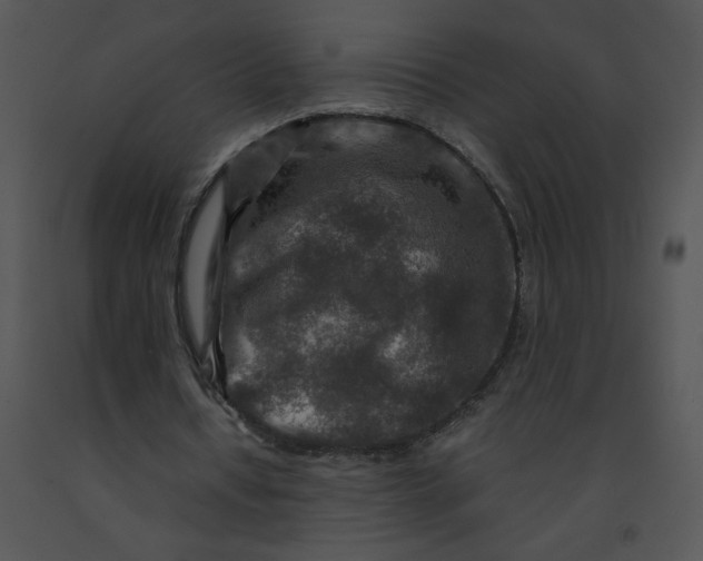 X0000091360434200708311508