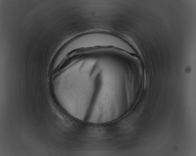 X0000091360435200708311508
