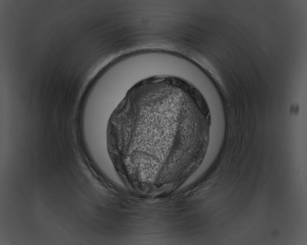 X0000091360436200708311508