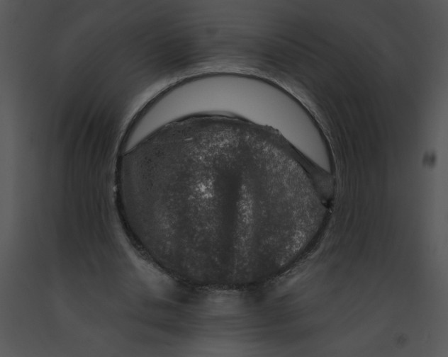 X0000091360438200708311508