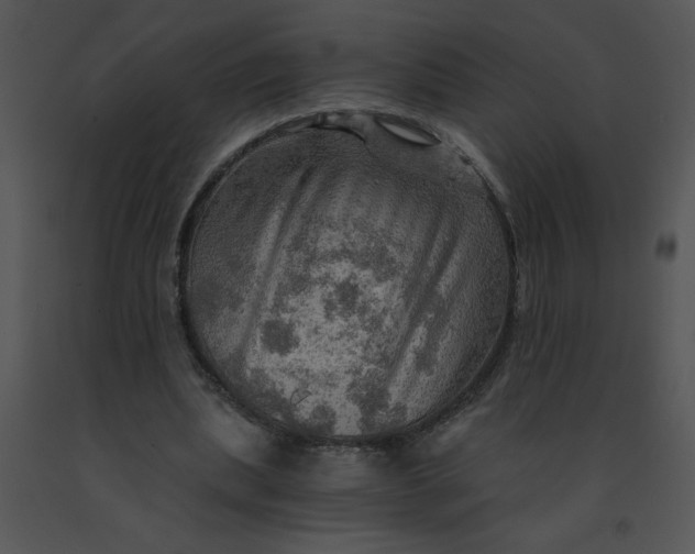 X0000091360439200708311508
