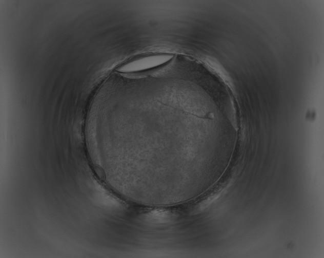 X0000091360441200708311508
