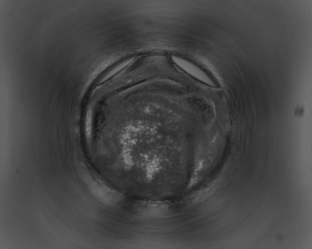 X0000091360443200708311508