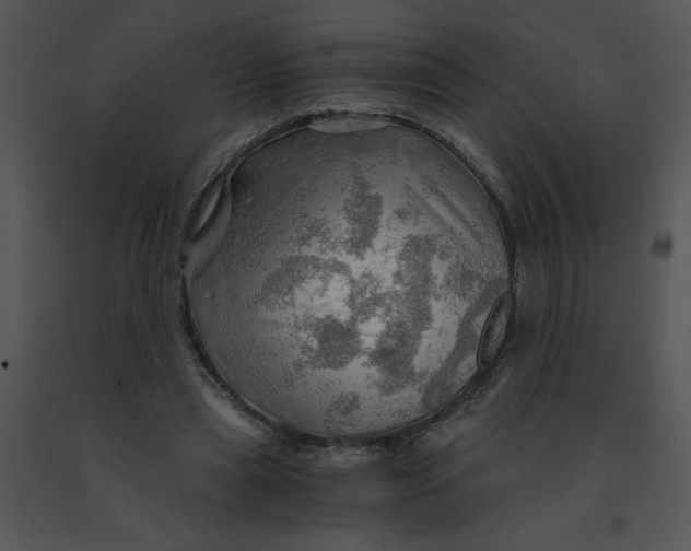 X0000091360445200708311508