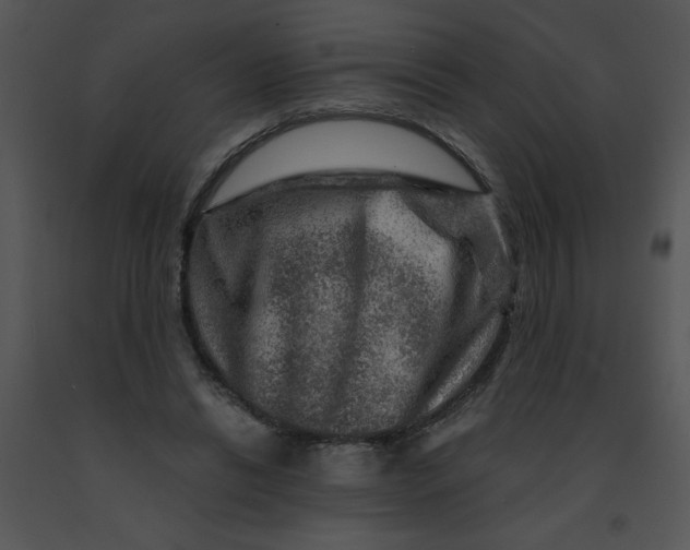 X0000091360446200708311508