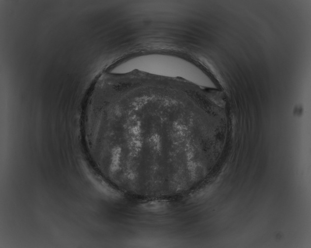 X0000091360447200708311508