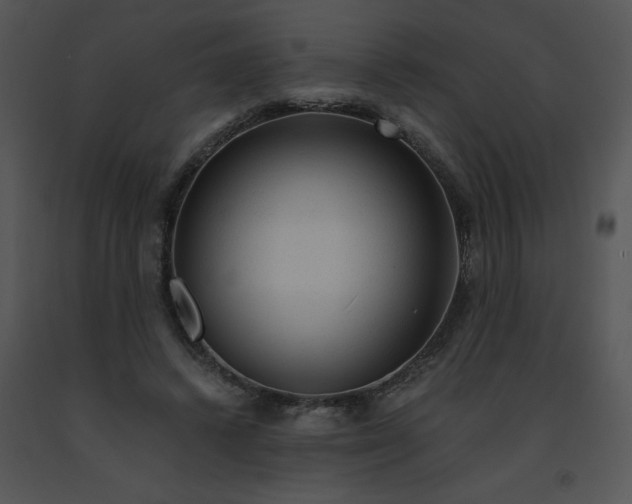 X0000091360448200708311508