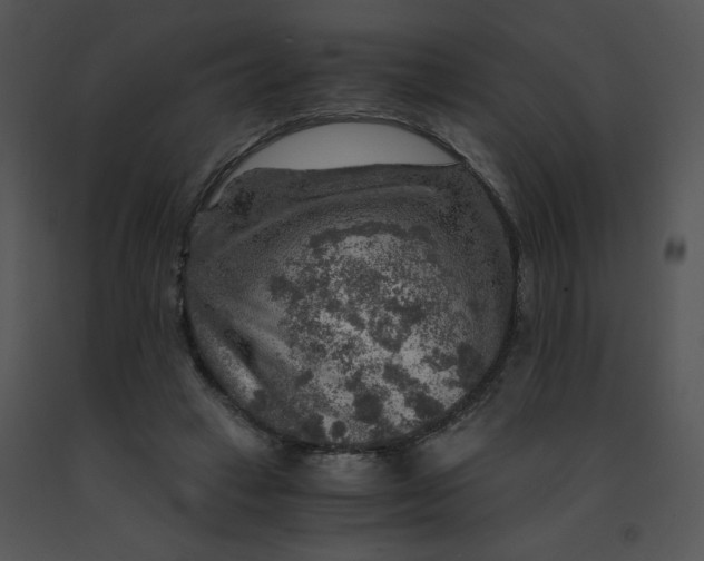 X0000091360449200708311508