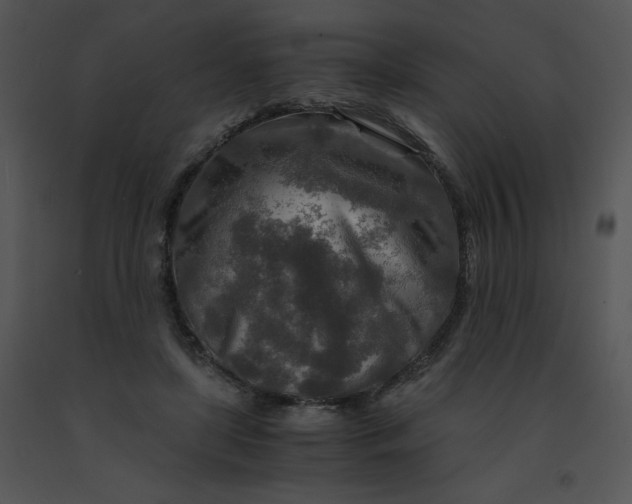 X0000091360451200708311508