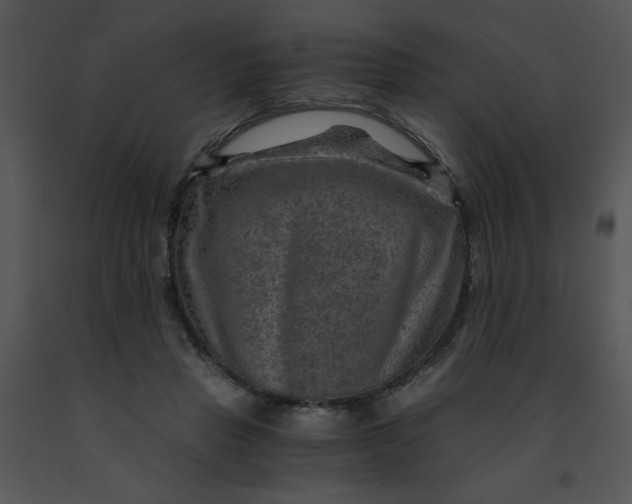 X0000091360453200708311508