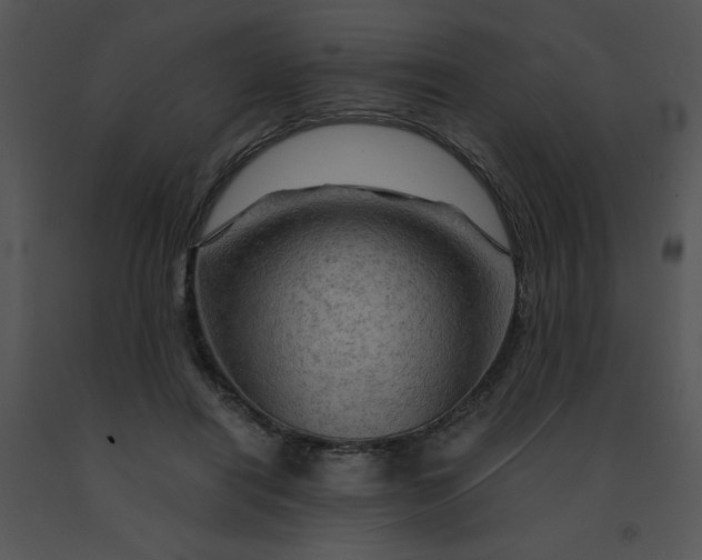 X0000091360454200708311508