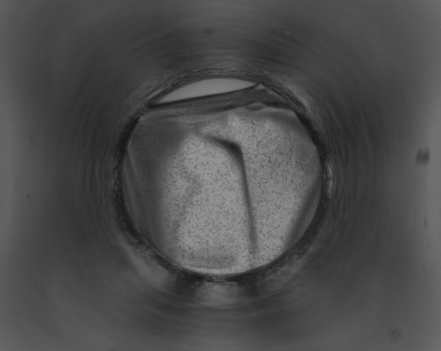 X0000091360455200708311508