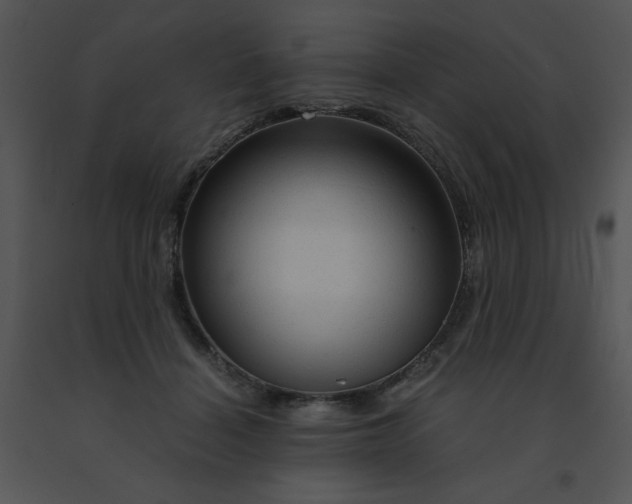 X0000091360460200708311508