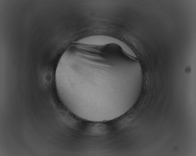 X0000091360463200708311508