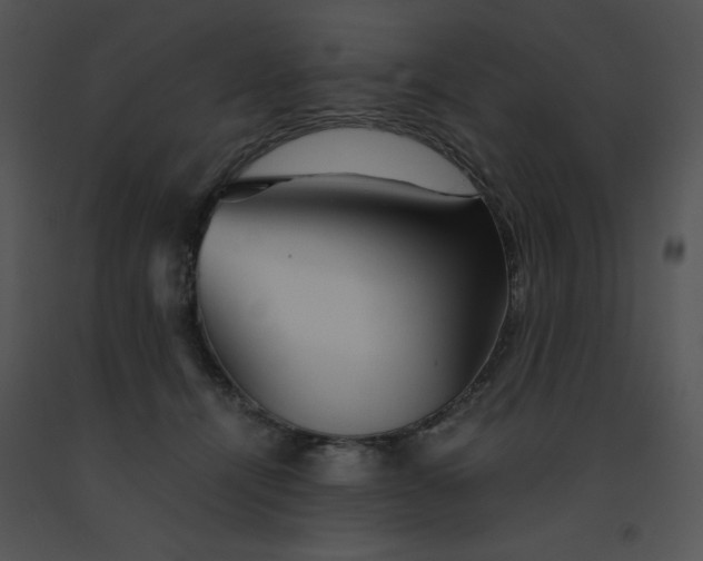 X0000091360464200708311508