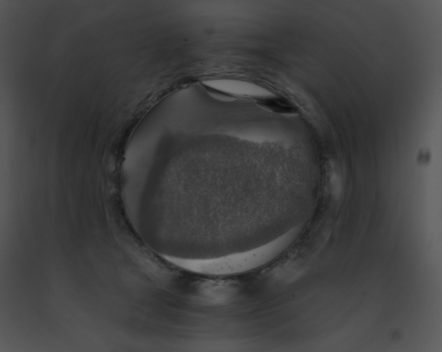 X0000091360465200708311508