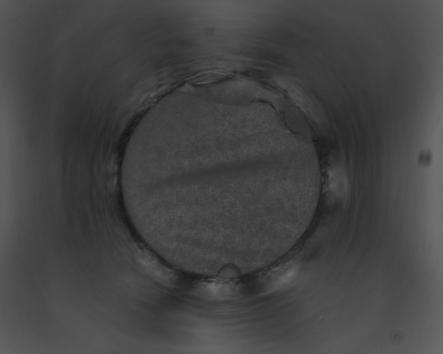 X0000091360466200708311508