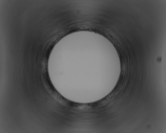 X0000091360468200708311508