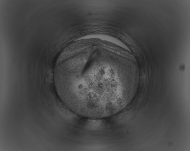 X0000091360469200708311508