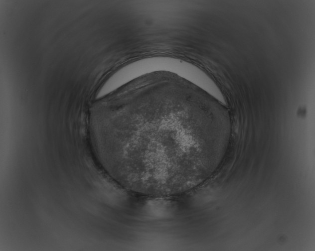 X0000091360470200708311508
