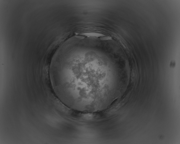 X0000091360473200708311508