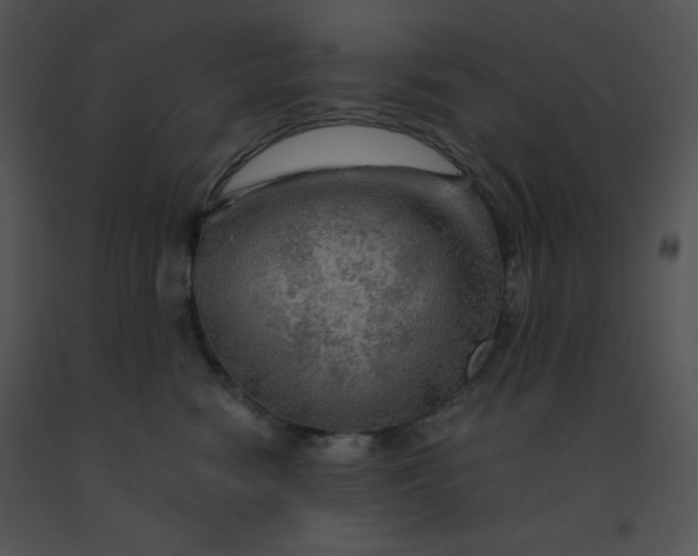 X0000091360474200708311508